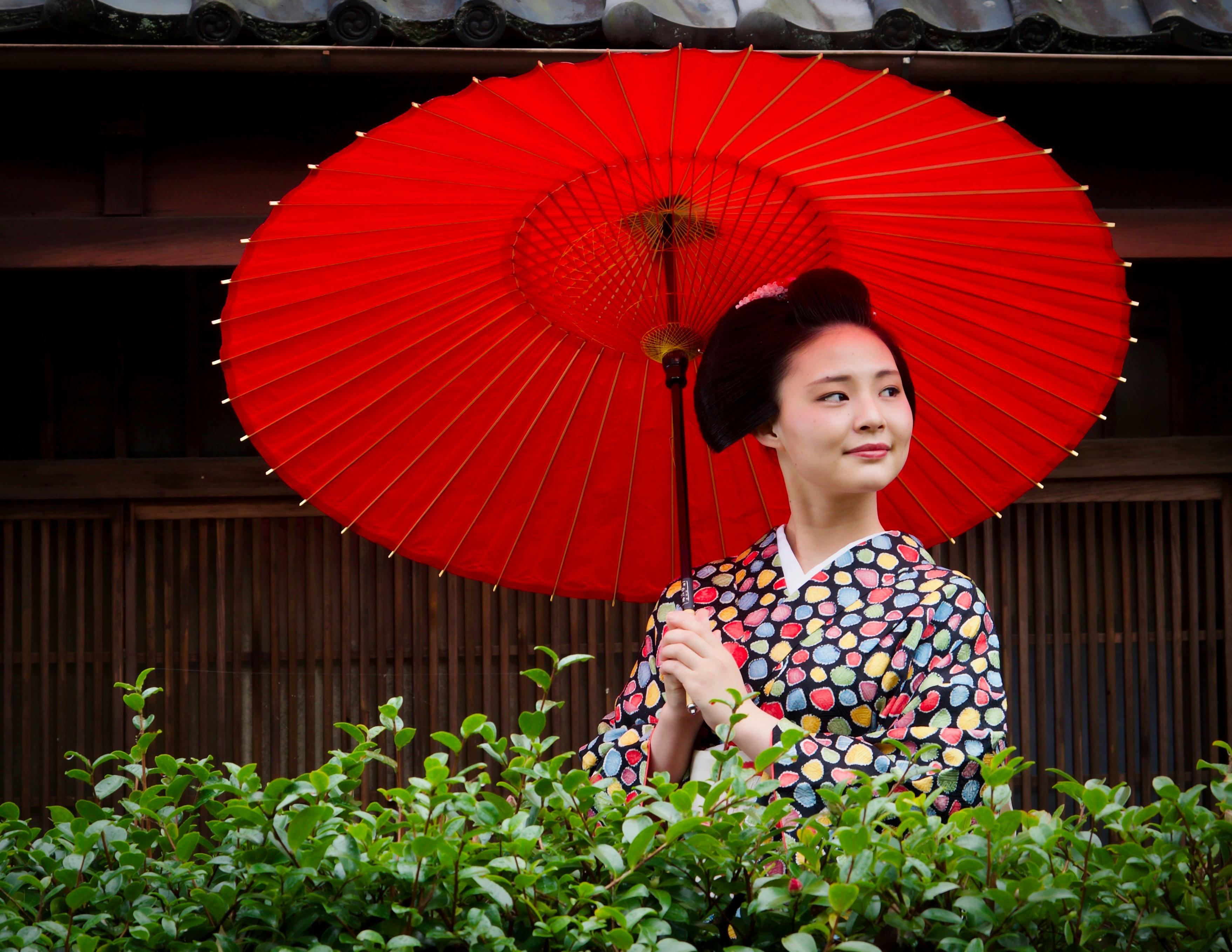 So, why study Japanese